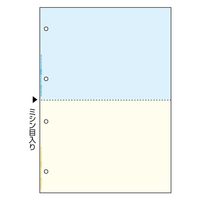 ヒサゴ A4NCカラー2面4穴 FSCF2011 1セット(1冊×2)