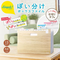 ソニック ぽい分けボックスファイル13ポケット LV-6276-I 1セット(1個×3)