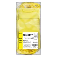 ソニック カラーイベント名札 ハガキ用50枚入 黄 VN-8539-Y 1袋