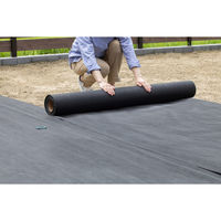 アイリスオーヤマ 防草シート 10M ブラック BS-10 1本