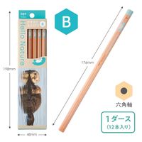 トンボ鉛筆 かきかた鉛筆ハローネイチャー2 ラッコB KB-KHNST2-B 1ダース(12本入)