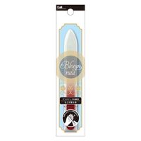 グラスファイル 細目 5個 貝印