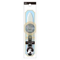 グラスファイル 粗目 5個 貝印