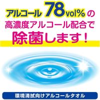 白十字 エタワイパー(ケース詰替用) 24-6144-03 1箱(250枚入)（直送品）