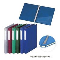 リヒトラブ カルテブック(クリヤー)CYC4 ライトグリーン HB416 1個（直送品）