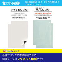 マグエックス ぴたえもん レーザープリンタ用 ホワイトボードキット A4 MSPLWH-A4 1パック