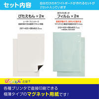 マグエックス ぴたえもん レーザープリンタ用 ホワイトボードキット A3 MSPLWH-A3 1パック