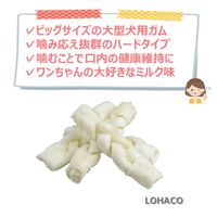 BIGガム スティック型 大型犬 4本入 3袋 ドッグフード 犬 おやつ