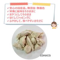 フリーズドライ ささみ 無添加 国産 28g 1袋 ドッグフード 犬 おやつ 猫ちゃんも食べれます