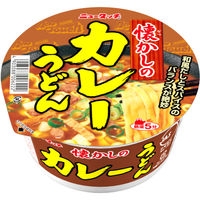 ヤマダイ ニュータッチ 懐かしのカレーうどん 1セット(12個)