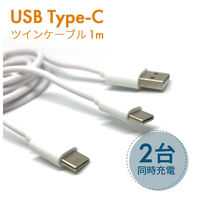 エアージェイ 保護キャップ付きUSB Type-Cツインケーブル1m WH UKJ-TWTC1M 1台