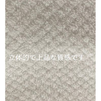 日繊商工 高級感あふれるホテルユーズタオル(バスタオル:ホワイト) QGS1221(W)-5 1箱(5枚入)（直送品）