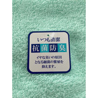 日繊商工 抗菌防臭カラータオル(バスタオル:グリーン) SGK853(GR)-24 1箱(24枚入)（直送品）