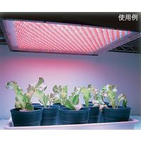 シーシーエス 植物育成用LED照明ユニット 赤+青 ISL-150X150-H5RHB-SN 1個 65-9038-46（直送品）