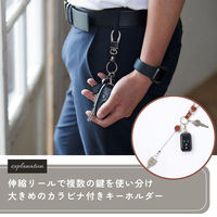 レイメイ藤井 グロワール リール付きキーホルダー ブラック GLK1170B 1個