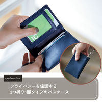 レイメイ藤井 グロワール 2つ折りパスケース ブラック GLP1166B 1個