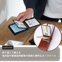 レイメイ藤井 グロワール パスケース 縦型5面窓付 ブラック GLP1167B 1個