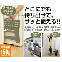 トレードワン セノ・ビー LG 高さ22cm 折り畳み踏み台 耐荷重150kg ダークグレー 30758 1セット（2個）