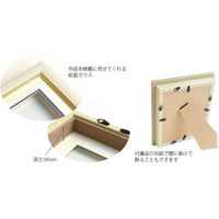 (株) ヂャンティィ シャドーボックス フラワーフェアリーズ用額 GSB-05 3D-GSB5 5個（直送品）