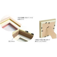 (株) ヂャンティィ シャドーボックス フラワーフェアリーズ用額 GSB-06 3D-GSB6 5個（直送品）