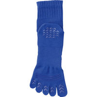 TEAM-Z（チームゼット） 抗菌 防臭 ５本指ショートソックス 25-27 ブルー ZAS4100 2足（直送品）