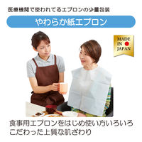 竹虎 やわらか紙エプロン 食事用 介護用  10枚入り 076374 1袋(10枚入)