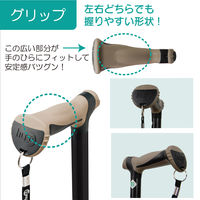 竹虎 ヒューゴステッキ ブラック 104750 1本