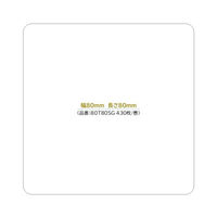 新盛インダストリーズ ラベルプリンター サーマル上質紙 80×80mm 1セット（430枚/巻×20個） 80T80SG