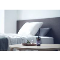 生活の木 ネムリラリードディフューザー 120175110 1箱（直送品）