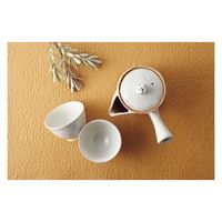 服部天龍 萩焼 白萩番茶器揃 2ー28 1箱（直送品）