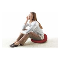 MOGU プレミアムホールクッション2個セット レッド 4540323030118 1袋（直送品）