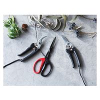 佐竹産業 源正宗 ガーデン3点セット GS-40N 1箱（直送品）