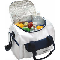 ヒロオカ レジャークーラーバッグ(15l) H2661 1箱（直送品）