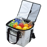 ヒロオカ アルミクーラーバッグ(25l) シルバー H3611 1箱（直送品）