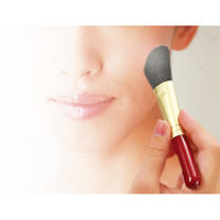 ゼニス 熊野化粧筆 筆の心 ハイライトブラシ&コーム KFi-40HBC 1箱（直送品）