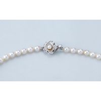 コウベ・プレシアス・パール パールパールコウベ あこや本真珠ネックレス&イヤリングセット ホワイト NS60ESET2 1箱（直送品）