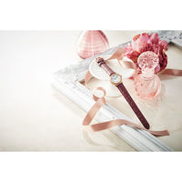 エルシオン ピエールカルダン レディース腕時計 ピンクゴールド W-PCL10256PG 1箱（直送品）