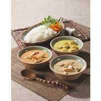 ショウトク 3種のタイ風カレーセット(10食) TS-50 1箱（直送品）