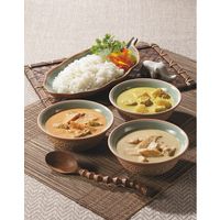 ショウトク 3種のタイ風カレーセット(4食) TS-20 1箱（直送品）
