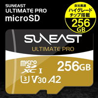 SUNEAST microSDXC UHS-I Card GOLD 256GB SE-MSDU1256B185 1個