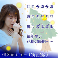 ノッピー ノッピー専用鼻洗浄液 nop-002 1箱(50本)（直送品）