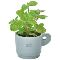 聖新陶芸 聖新 GD-96901 カラーミーアップマグアップルミント　1個（直送品）