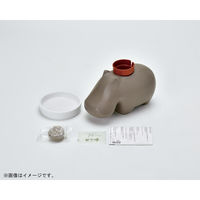 聖新陶芸 聖新 GD-98202 ヒポポプラントベージュ/バジル　1個（直送品）