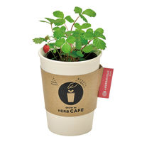 聖新陶芸 聖新 GD-98502 育てるカフェワイルドストロベリー　1個（直送品）