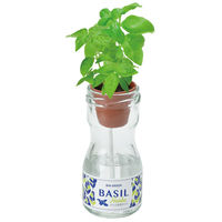 聖新陶芸 聖新 GD-98802 ビングリーンバジル　1個（直送品）