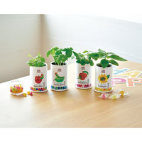 聖新陶芸 聖新 HP-0201 ハラペコアオムシ 栽培セットアップルミント　1個（直送品）