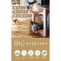 猫壱 バリバリボウルタワー 1個 爪とぎ