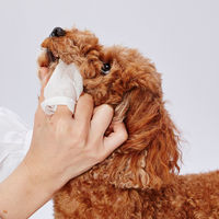 ペティオ 犬猫用 歯みがき用 シートでふきとる デンタルティッシュ（30枚入×2個）お得パック 1個 犬 猫