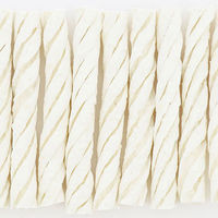 ペティオ プラクト 歯みがきデンタルガム 中型～大型犬 ハード 無添加 国産 12本入 1袋 オーラルケア おやつ