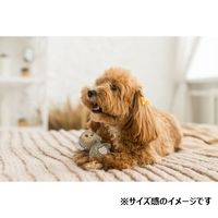 ストライプス ピープス パンダ S 1個 犬用 おもちゃ スーパーキャット